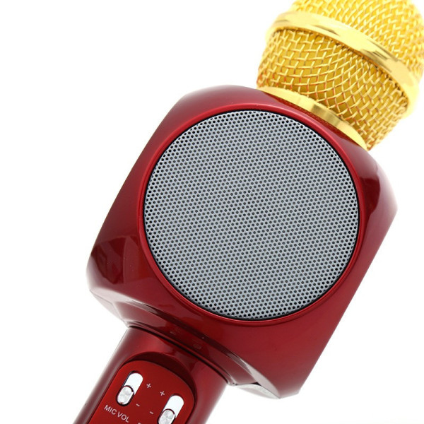 Мікрофон караоке WSTER WS-1816 — бездротовий Bluetooth-мікрофон зі cвітмузикою слотом USB і FM тюнером