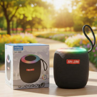 Колонка SH309 BT 100 Вт із глибоким басом чорна