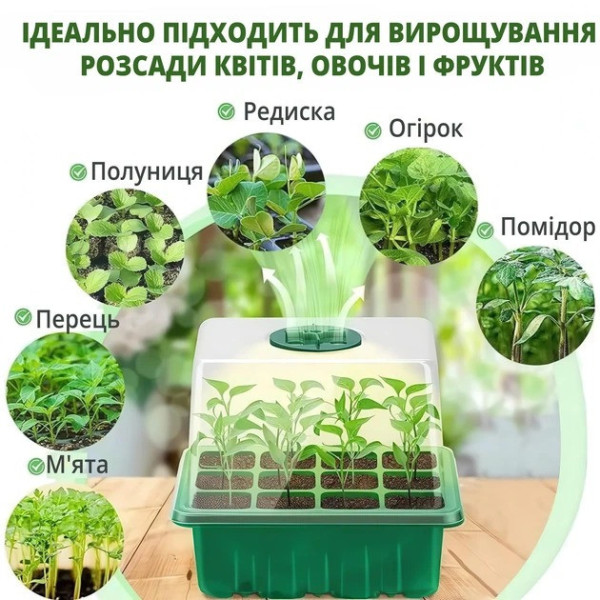 Контейнер для рассады 12 ячеек лоток для выращивания растений