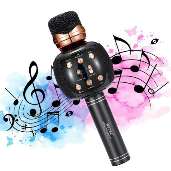 Бездротовий мікрофон Wster WS-2911 для караоке з колонкою Bluetooth і функцією зміни голосу