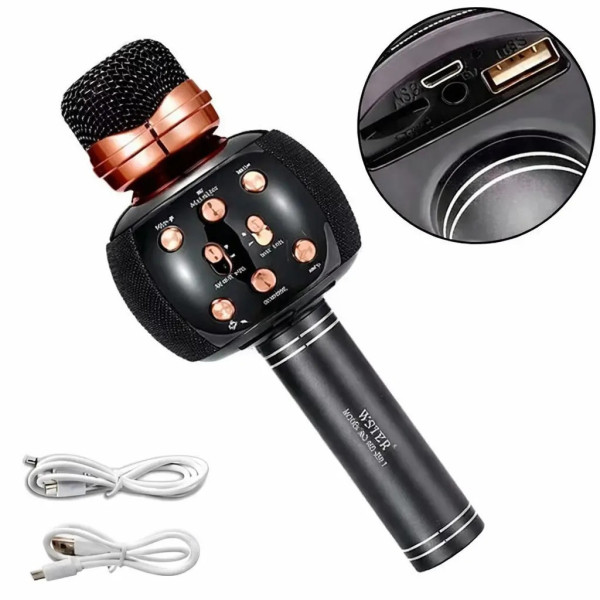 Бездротовий мікрофон Wster WS-2911 для караоке з колонкою Bluetooth і функцією зміни голосу